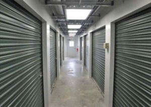 Chestnut Storage