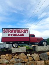 Strawberry Storage