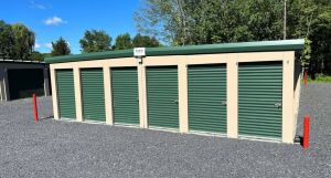 Storage Sense - Walden