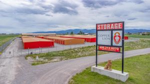 Copper Lion Storage